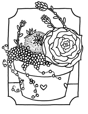 succulent coloring Succulent Coloring Outlines – libertypierson.com